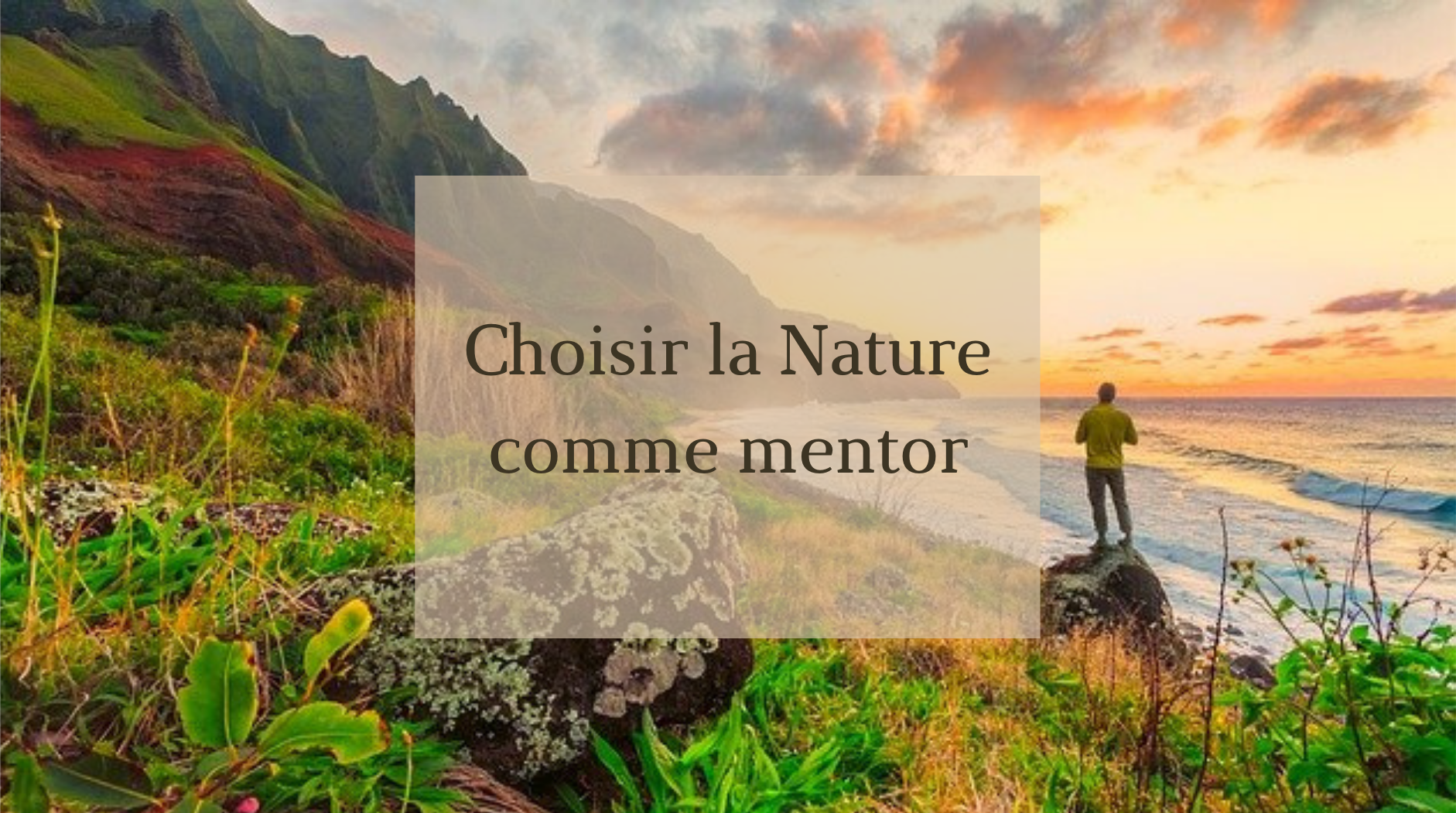 You are currently viewing Choisir la Nature comme mentor
