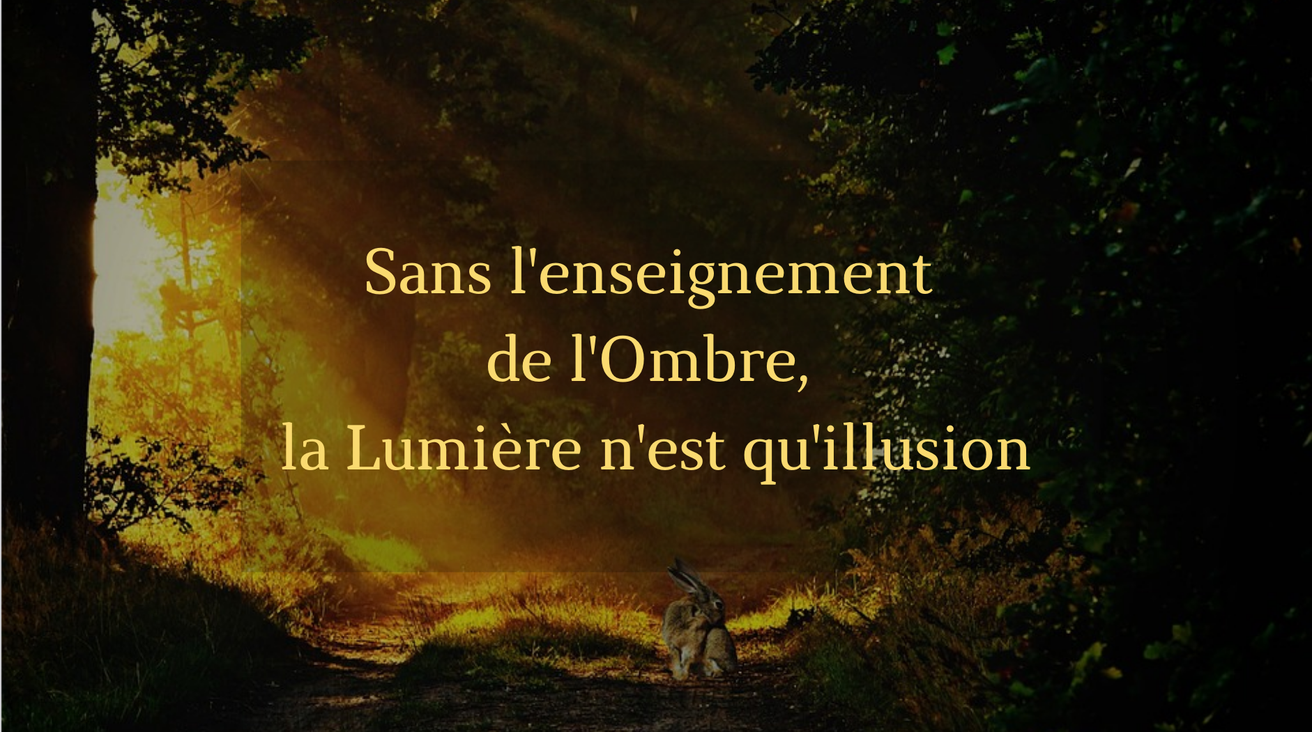 You are currently viewing Sans l’enseignement de l’Ombre, la Lumière n’est qu’illusion